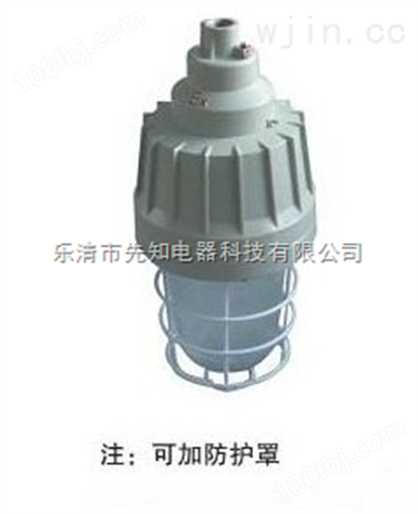 先知电器XZ-BAD81防爆紧凑型节能灯（II C）*