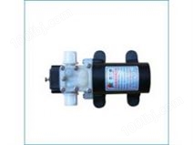 厂家供应普兰迪1206微型水泵 12V45W微型水泵