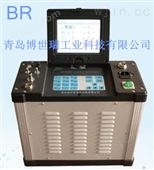 BR-9000H供应BR-9000H型全自动烟尘烟气测试仪